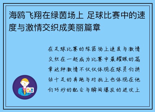 海鸥飞翔在绿茵场上 足球比赛中的速度与激情交织成美丽篇章