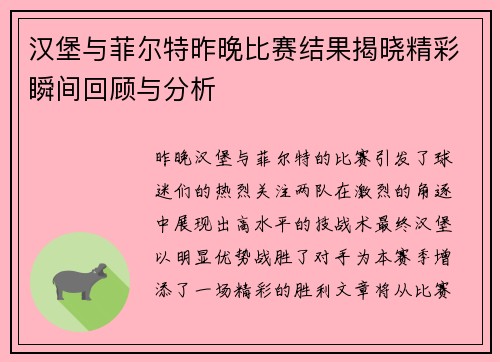汉堡与菲尔特昨晚比赛结果揭晓精彩瞬间回顾与分析